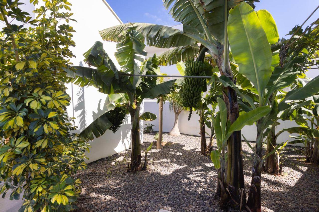 Home2Book Amazing Santa Ursula, Sea Views & Terrace Экстерьер фото